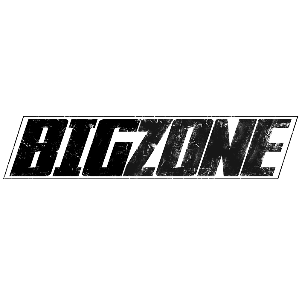 Bild vom Logo von Bigzone