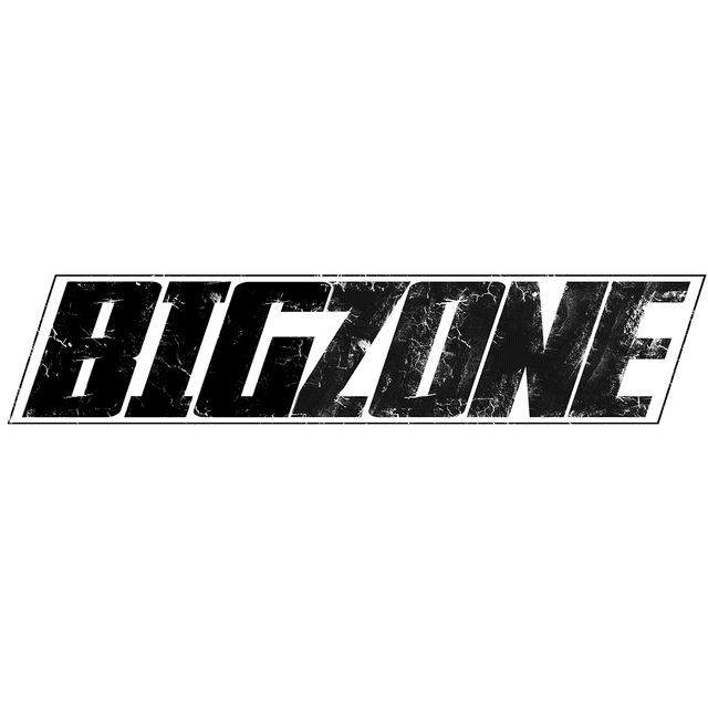 Bild vom Logo von Bigzone